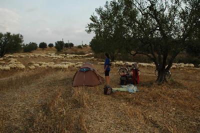 Bivouac chez les moutons