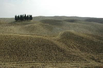 La toscane
