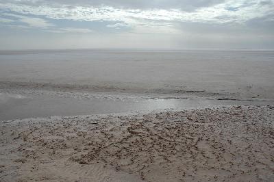 Chott El Jerid surface de sel