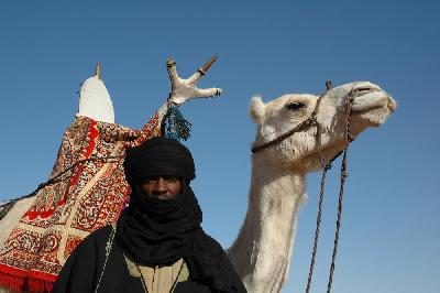 Un touareg et son dromadaire