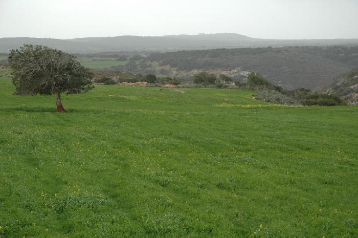 Jebel Akdar
