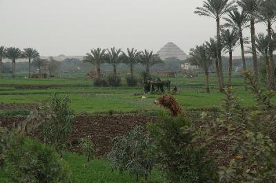 Saqqara au loin