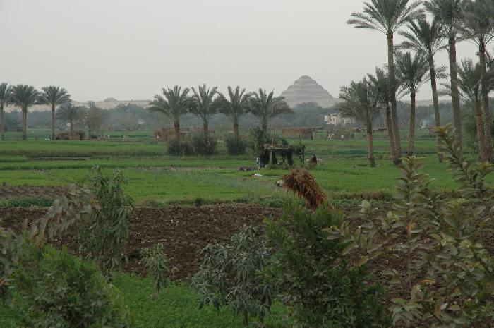 Saqqara au loin