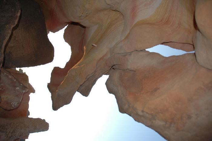 Plafond de bivouac