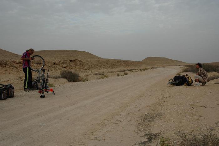Crevaison entre Helwan et Ain Soukhna