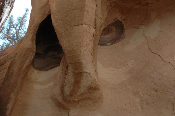 Petra