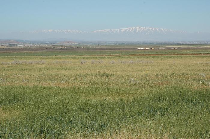 Syrie