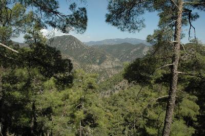 Sur le sentier du "tour de Troodos"