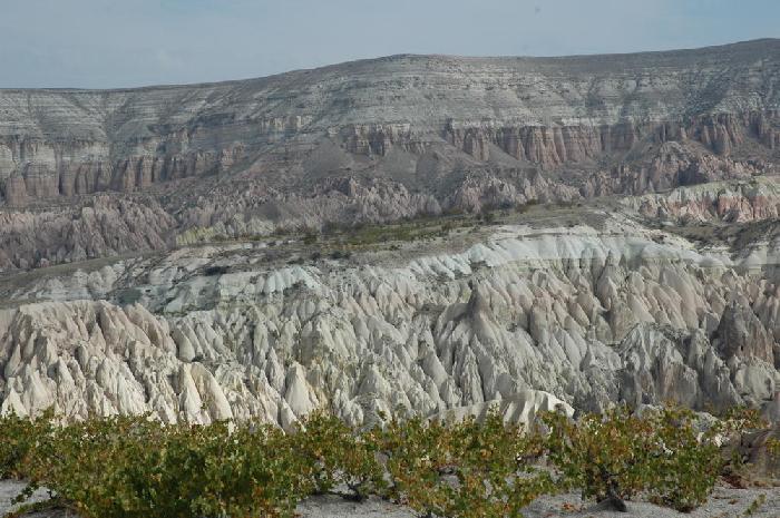 Valle rose Greme