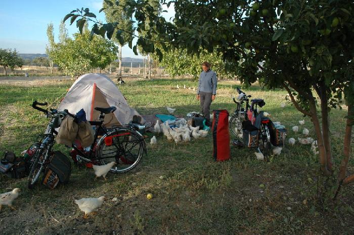 Bivouac aux poules
