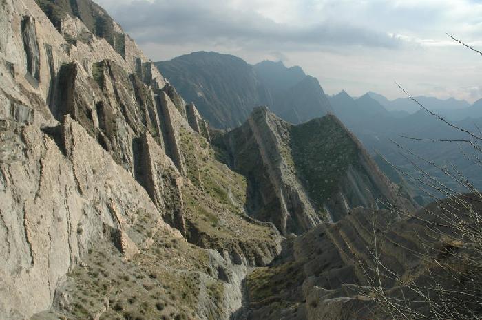 Entre Chiraz et Bandar e Bushehr