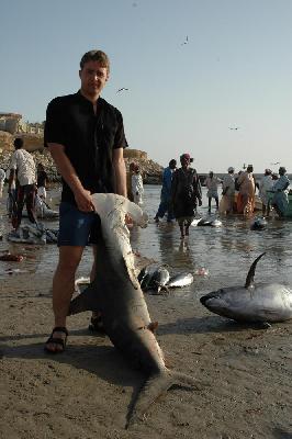 Allan et le requin marteau