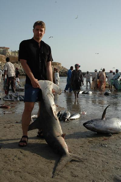 Allan et son requin marteau