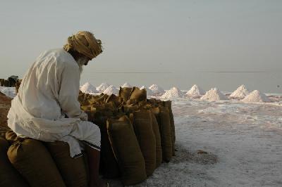 Un omanais récolte le sel