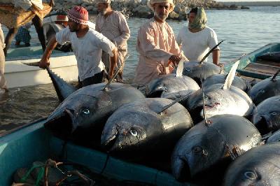 Le retour des pêcheurs