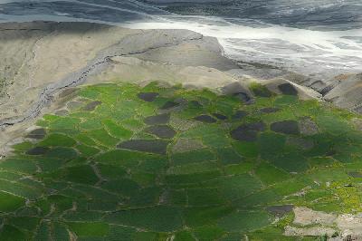 Fleuve et champ de riz