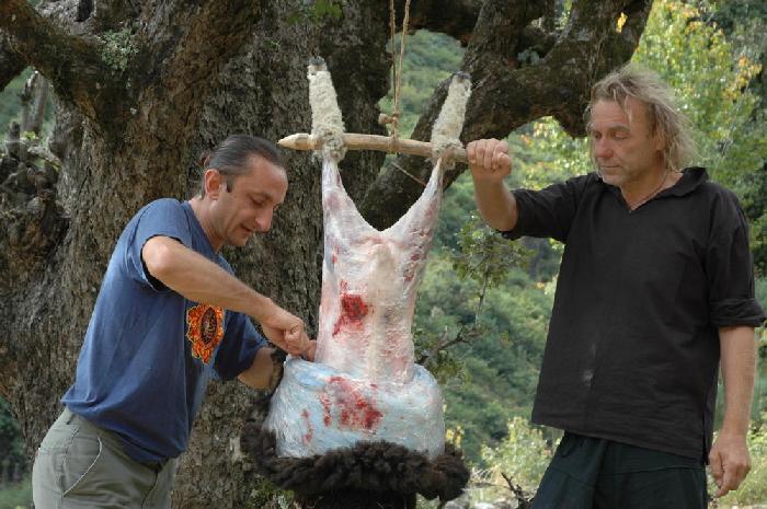 Dcoupage du mouton