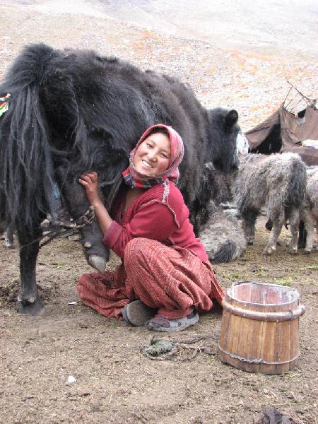 Nomades, Zanskar