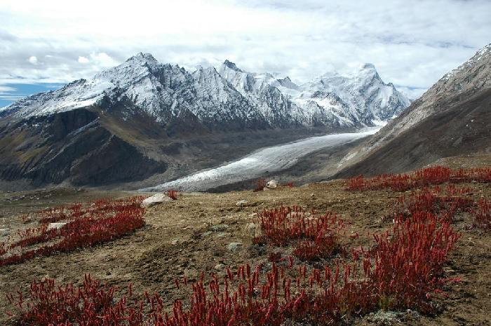 Le glacier Durungdrung