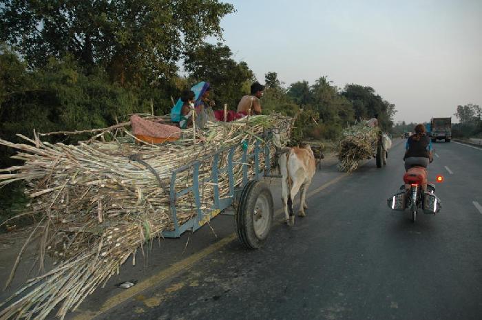 Rencontres sur la route