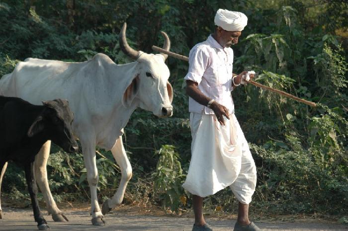 Rencontres sur la route