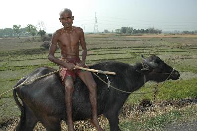 Relaxe sur la grande route du Bengale Occidental !