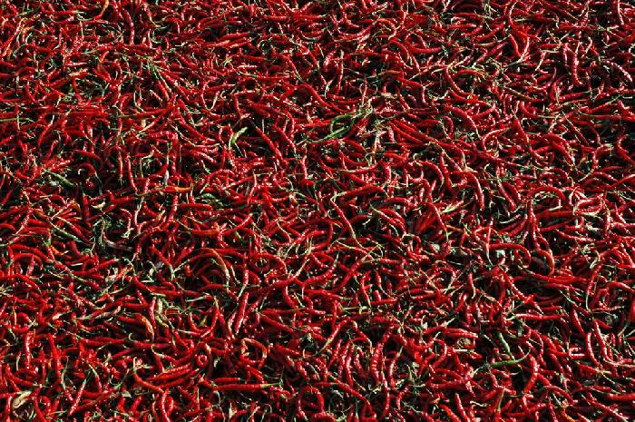 Piments rouges