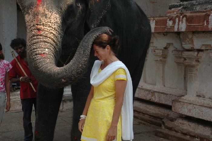 Chris et l'lphant  Hampi