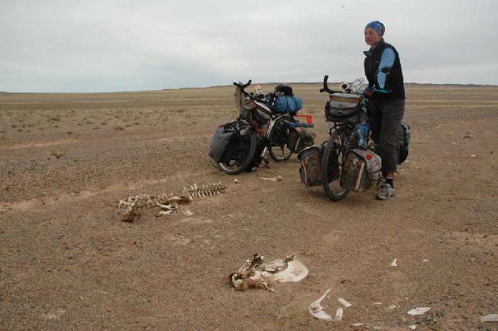 Entre Erdene et Sainshand