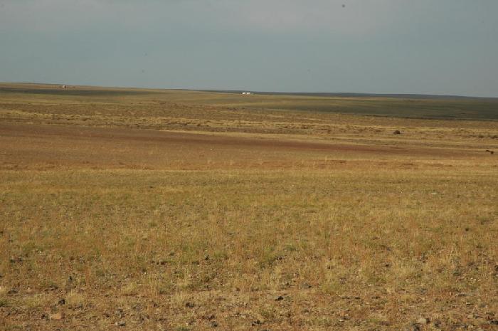 Entre Zamyn-d et Erdene