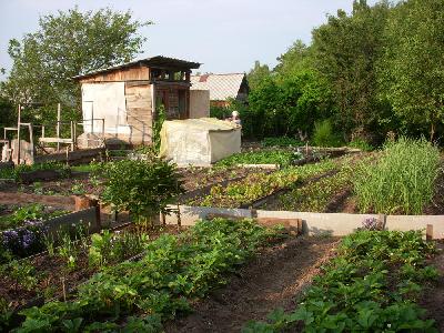 Le banya au fond du jardin