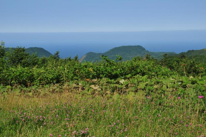 Ile de Sakhaline