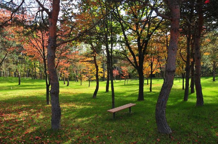 Camping de Asahikawa