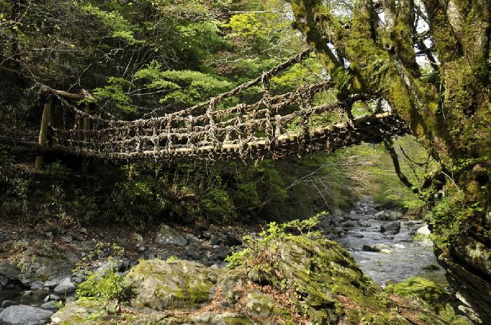 Pont suspendu valle de l'Iya