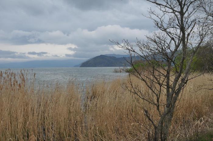Sur les bords du lac Biwa