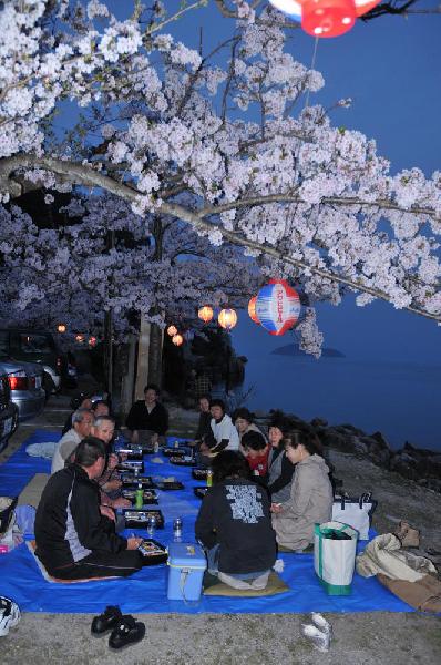 Hanami sur les bords du lac Biwa