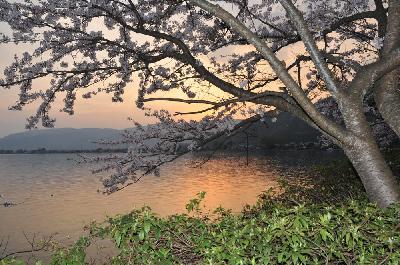 Au coucher du soleil en bord de lac