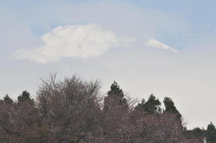 Fuji San