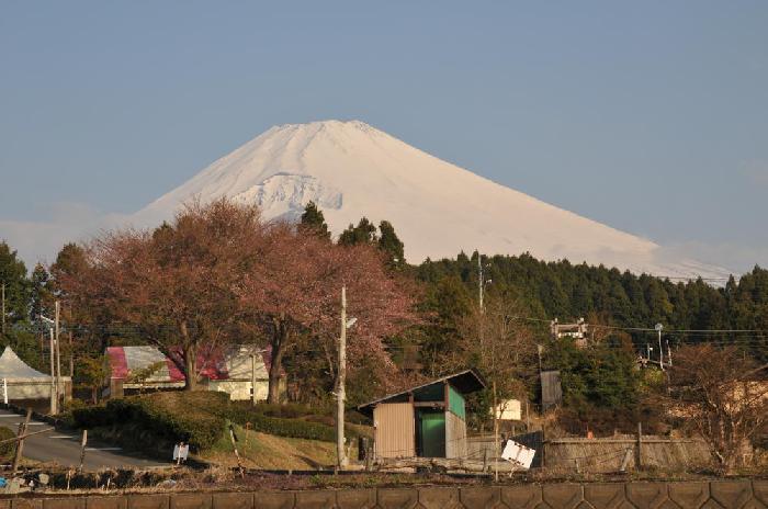 Fuji San