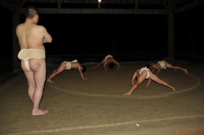 Entranement de sumos