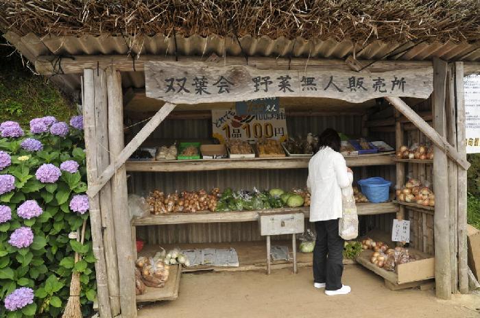 Magasin de lgumes