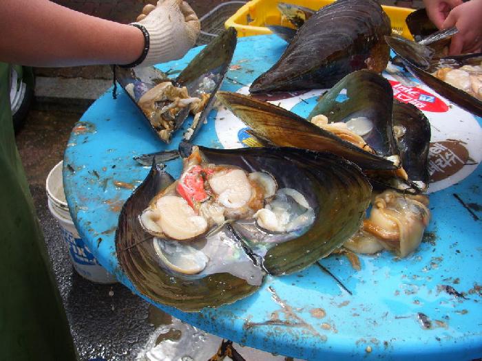Quelles moules