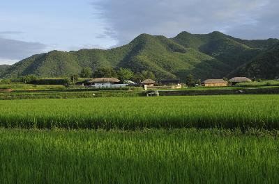 Hahoe village