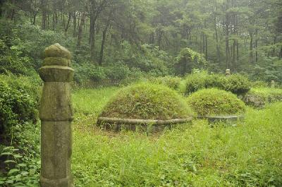 Les tumulus