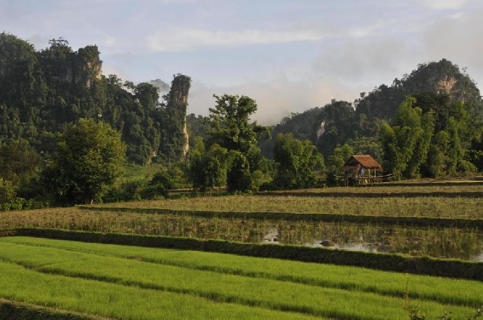 Entre Kasi et Phoukhoun