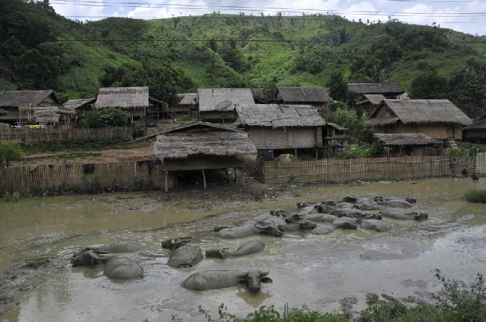 Entre Vang Vieng et Kasi