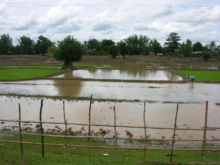 Entre Pakse et Savannakhet