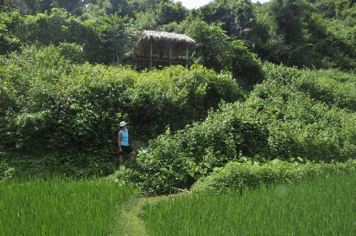 Entre Muang Khua et Oudomxay