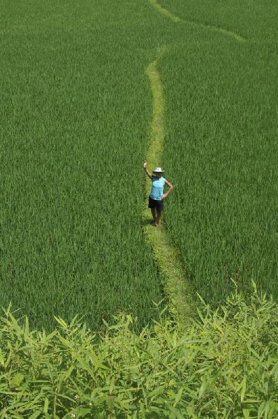 Entre Muang Khua et Oudomxay