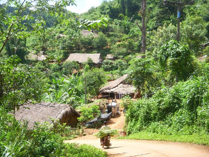 Environs de Mae Salong